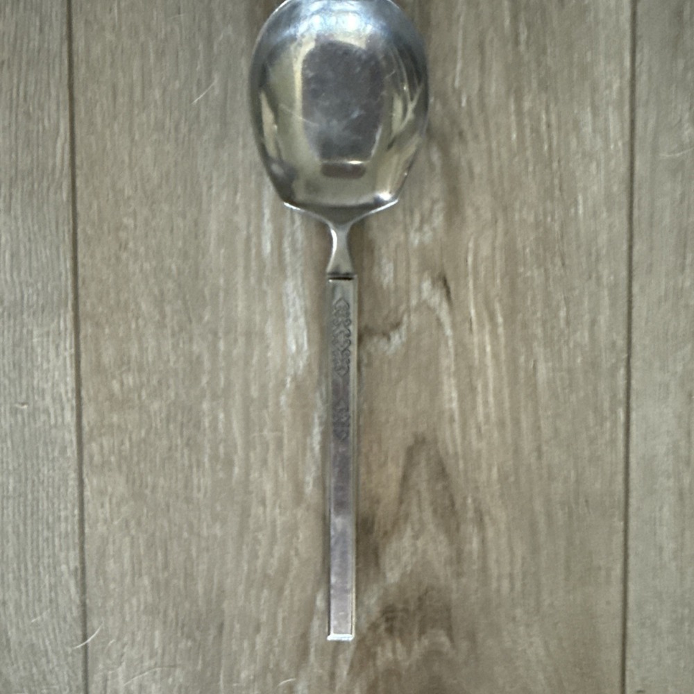 Salem SLF2 Stainless Burnished Black Accent Japan Casserole Spoon Flatware